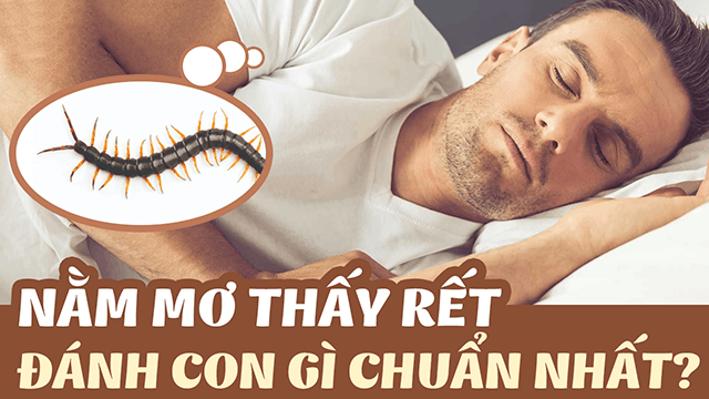 Nằm mơ thấy rết đánh con gì và điềm báo gì? Nam mo thay ret danh con gi va diem bao gi?