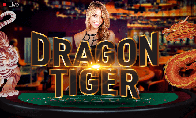 Học chiến thuật chơi Rồng Hổ Dragon Tiger từ các cao thủ Hoc chien thuat choi Rong Ho Dragon Tiger tu cac cao thu
