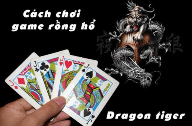 Cách chơi rồng hổ hiệu quả nhất Cach choi rong ho hieu qua nhat