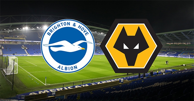 Soi kèo bóng đá SBO Brighton vs Wolves ngày 29/4/2023 – Vòng 34 Ngoại Hạng Anh Soi keo bong da SBO Brighton vs Wolves ngay 29/4/2023 – Vong 34 Ngoai Hang Anh